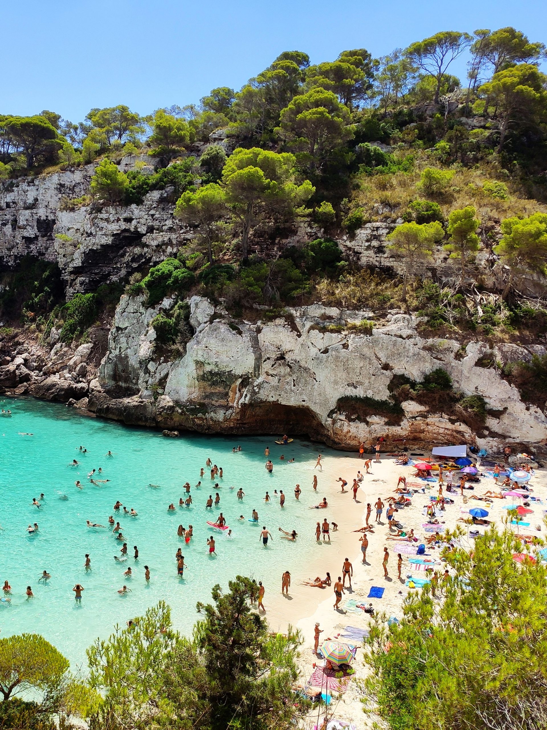 Cala,Macarelleta,Famous,Paradise,Beach,With,Turquoise,Water,And,Pine